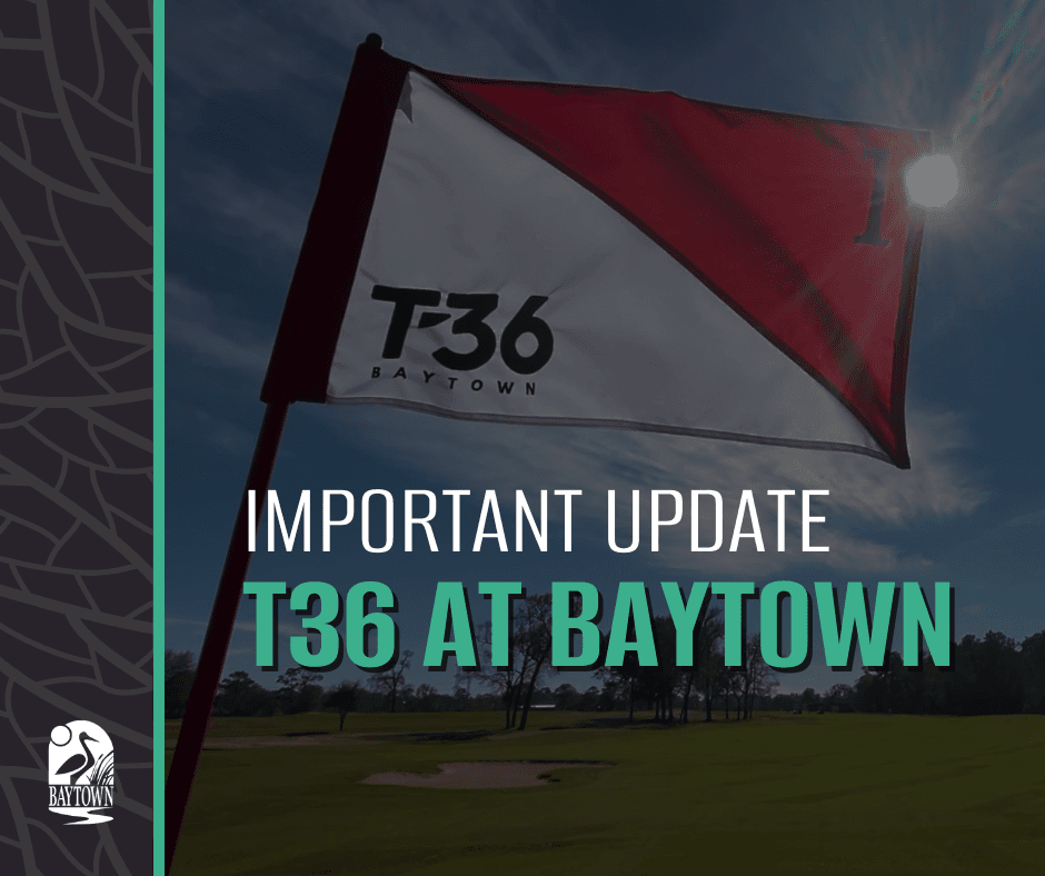 T36 Update