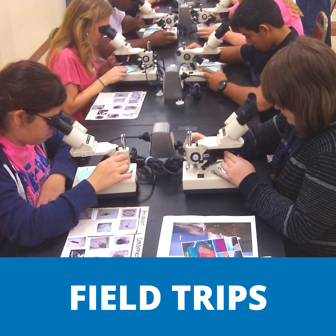 Field Trips