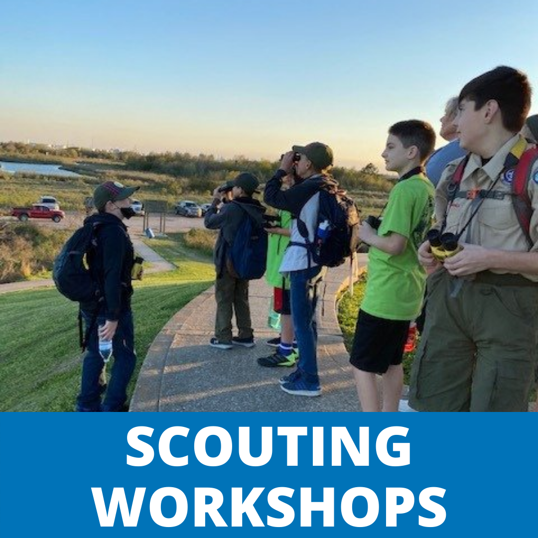 Scouting Workshops