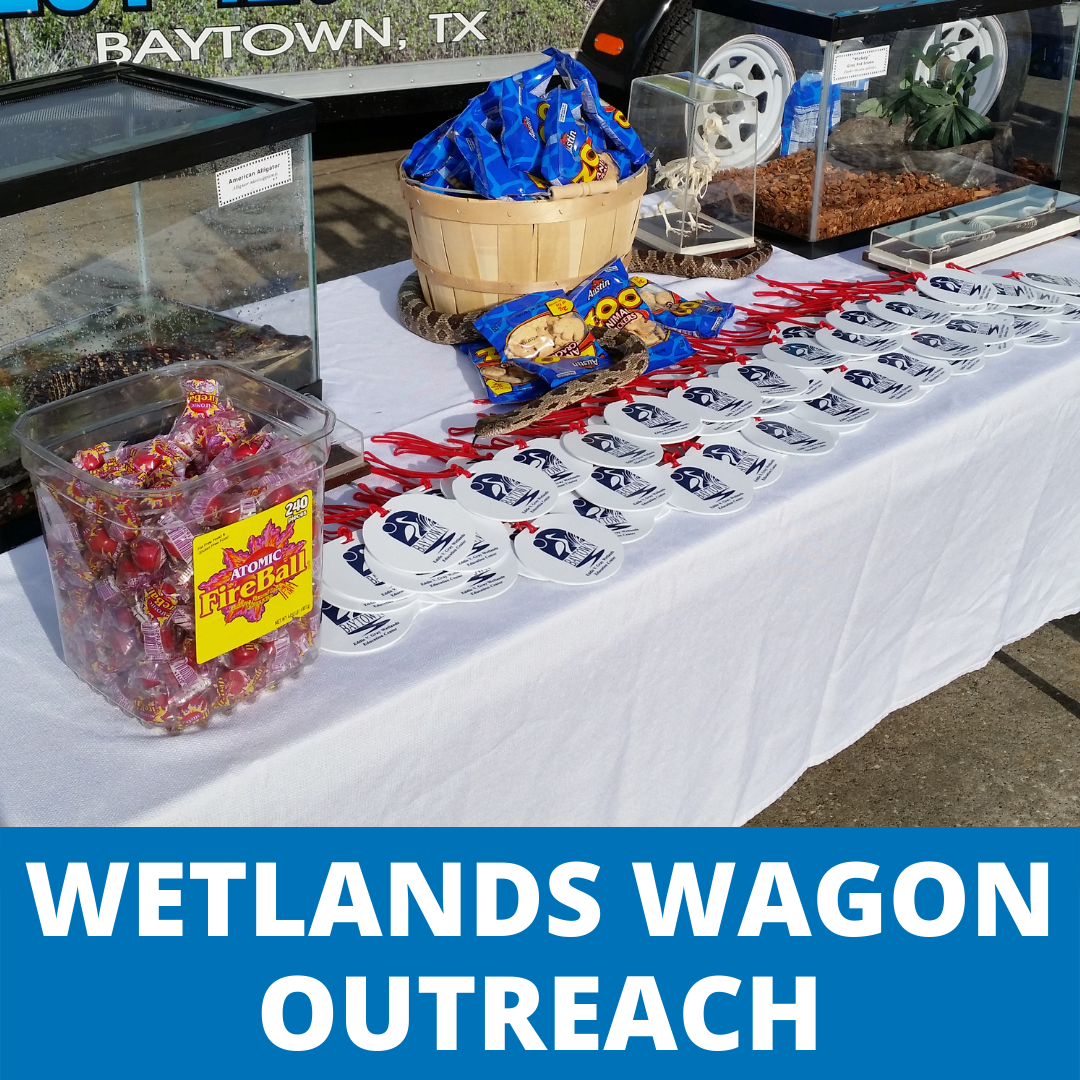 Wetlands Wagon Outreach