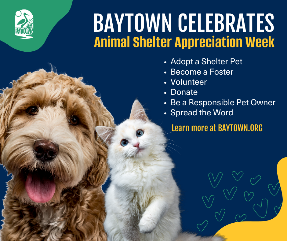 Animal Shelter Appreciation Week