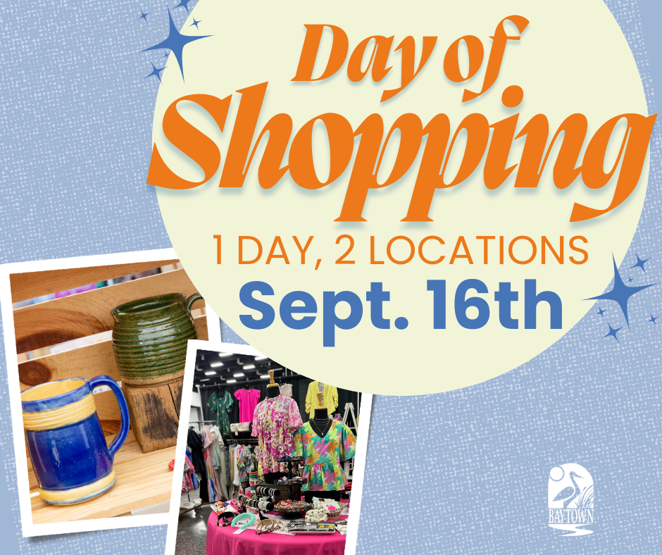 Day of Shopping Fan (Facebook Post (Landscape))