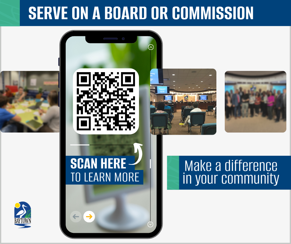 boards and commissions