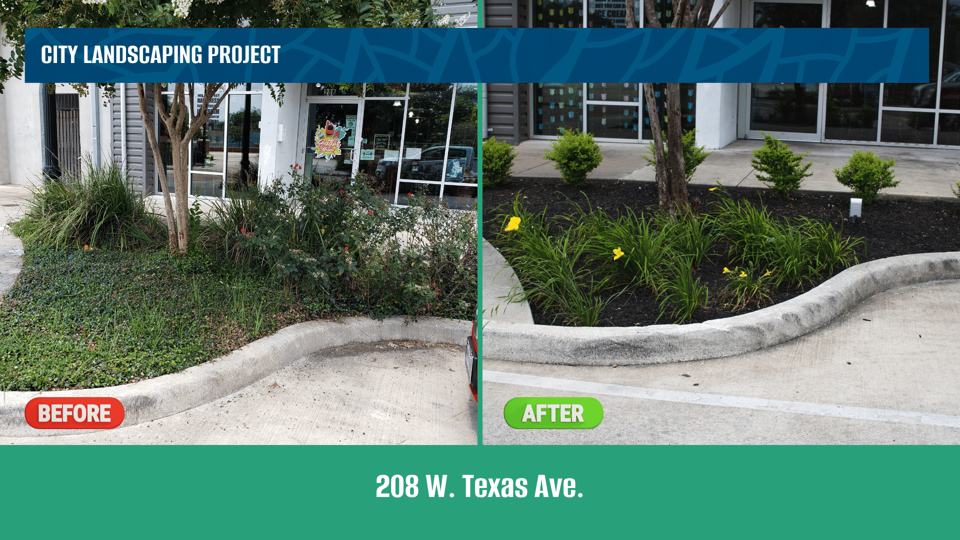 A before and after image showing landscaping work removing overgrown vegetation. 