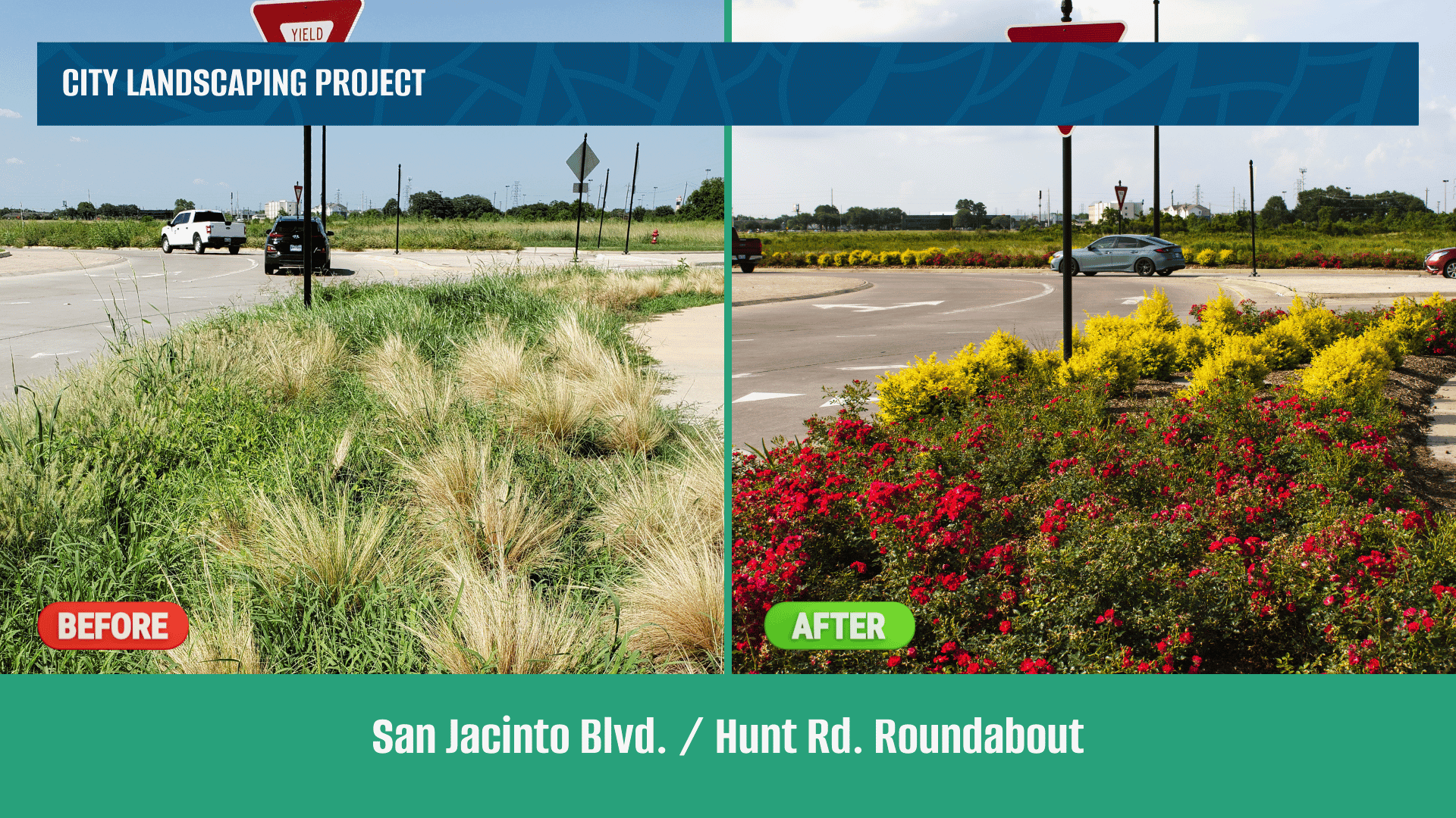 A before and after image showing landscaping work removing overgrown vegetation. 