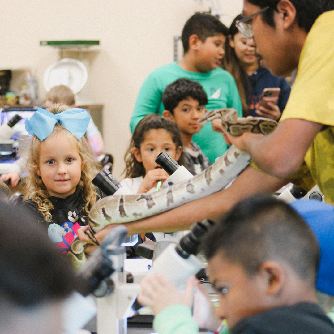 Eddie V. Gray Wetlands Parties